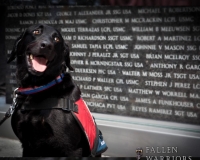 fallen_warrior_memorial_dedication_texas_081