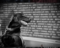 fallen_warrior_memorial_dedication_texas_082