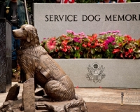 fallenwarriormemorialdogmemorial2616