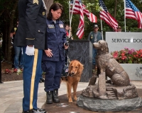 fallenwarriormemorialdogmemorial2624