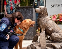 fallenwarriormemorialdogmemorial2629