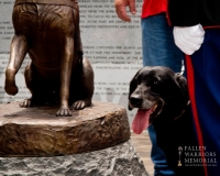 fallenwarriormemorialdogmemorial2633