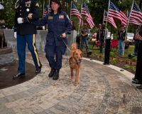 fallenwarriormemorialdogmemorial2639