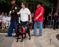 fallenwarriormemorialdogmemorial2640