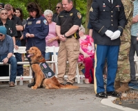 fallenwarriormemorialdogmemorial2653